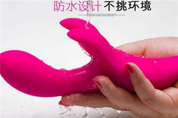 乐伊特成人用品